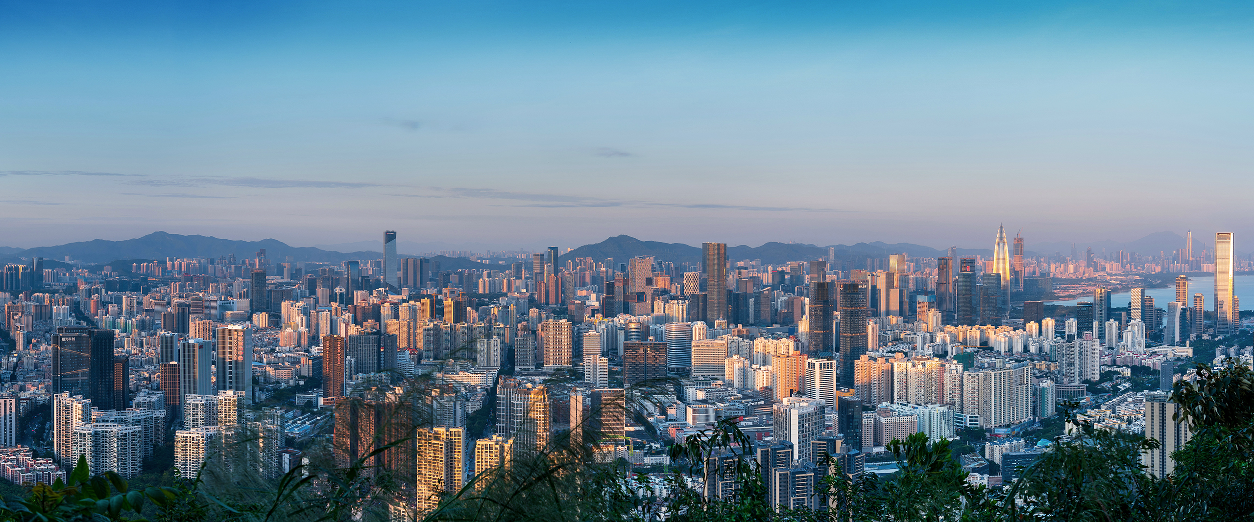 jiuyou.com九游电池